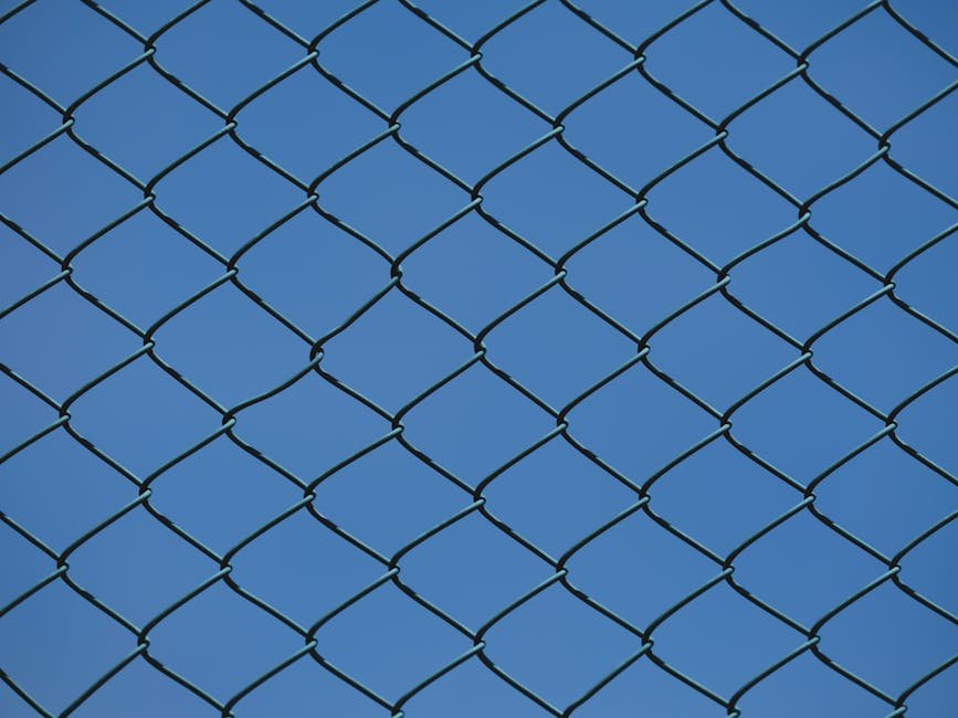 Old chain-link fence with a wide blue sky beyond it, the institutional geometry any honest nickel boys review keeps returning to as a structural cue